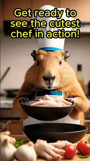 Cute Capybara Cooking Delicious Meal | Adorable Animal Chef in Action!
