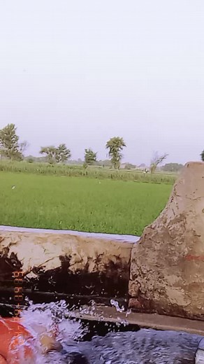 sehar baby dol (@seharbabydol)’s videos with original sound - Zoha