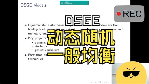 DSGE（动态随机一般均衡）模型分析方法与应用