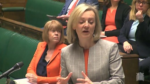 'Barking dogs deter drones': Justice chief Liz Truss baffles MPs