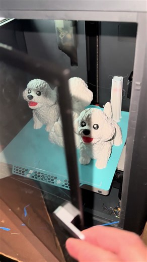 Flexi Bichon dogs!