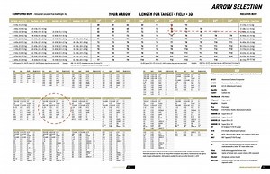 Come scegliere le frecce - Spigashop