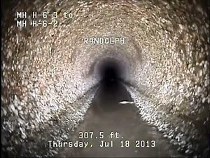 What is this "Strange Creature" found writhing in the Boise Sewer?!?