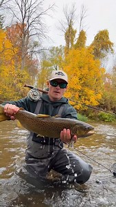 13K views · 271 reactions | There is something special about fall...