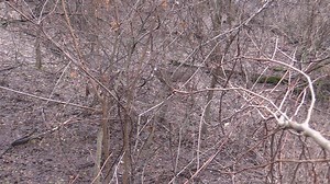 4.6K views · 86 reactions | Well… ol’ Norm decided to test my...