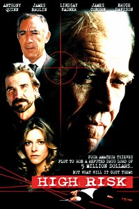 Stream High Risk (1981): Find it on Netflix, Prime Video, Hulu & more