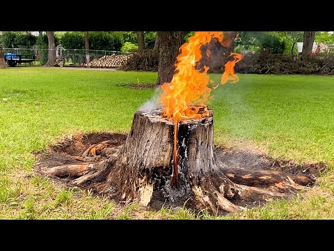 Easy Stump Removal ! Amazing Way to Remove A Tree Stump - Complete Stump Burn