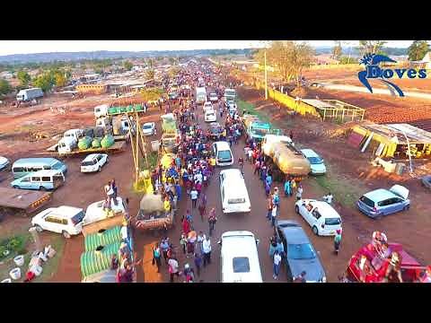 How Doves Buried Genius Ginimbi Kadungure