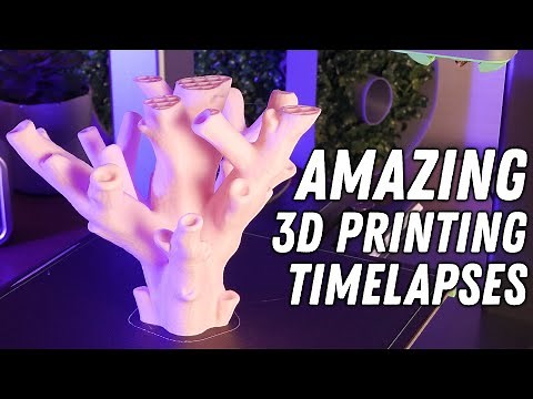 6 AMAZING 3D PRINTING TIMELAPSES - Made using the AnkerMake M5C 3D Printer