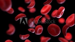 Animation of sickle cell disease red blood cells