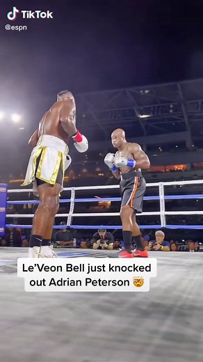 Le’Veon Bell just knocked out #adrianpeterson #boxing #nfl #mcbroomgib