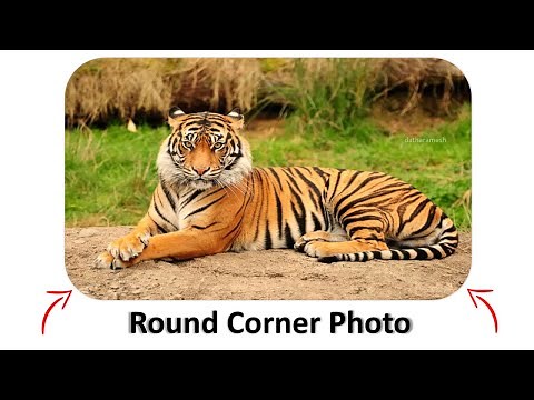 How to Create Round Corner Photo In PowerPoint