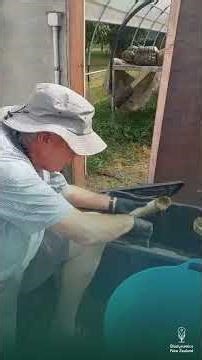 Biodynamics in Action -Earth Stewards