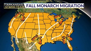 Monarchs return this spring