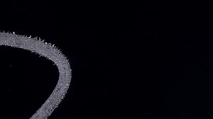 3.1K views · 49 reactions | It's about time we bring back #SmallWorldInMotionMonday, don't you think? Let's sparkle and shine this week ⚡️ https://bit.ly/3YX8Xhf Electrodeposition of silver on copper Wenting Zhu Beauty of Science Hefei, Anhui Province, China Reflected Light, Stereomicroscopy 2.5X (Objective Lens Magnification) | Nikon Small World | Facebook