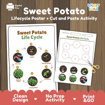 Sweet Potato Life Cycle Activity Worksheet Plant Science Gardening Real Photos