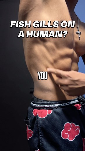 12K views · 1.1K reactions | The Best Ab Exercise on Earth  | Davis Lifts | Facebook