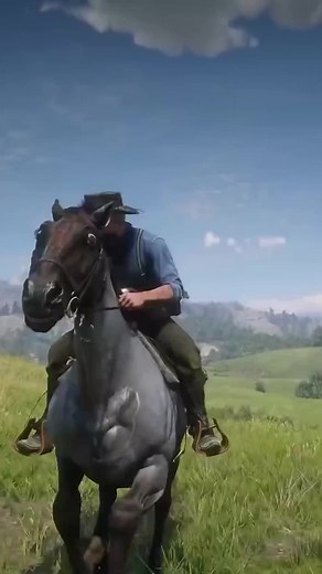 Interesting Facts About RDR2