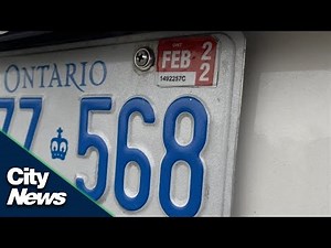 Business Report: Don't forget to renew your licence stickers