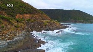 International wild koala day, time to explore the beauty of Australia