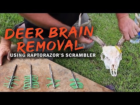 How to Remove Deer Brain with the Scrambler | Raptorazor.