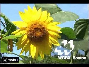 WGBX-TV 44 Boston - Re-Created Sign-On - 1975