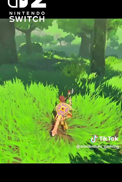 Maximize Health with Hearty Radish in Zelda: BOTW