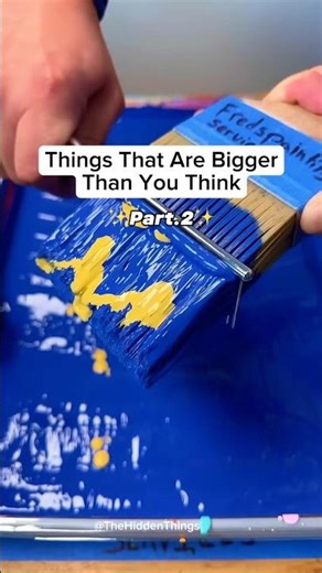 Things That Are Bigger Than You Think | Amazing Size Comparisons (Part 2)