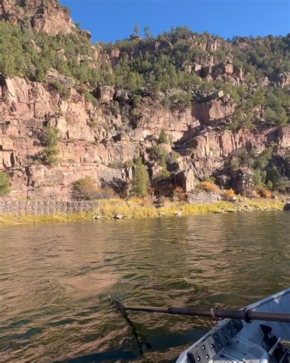 1.1K views | Howler Brothers on Reels | Facebook