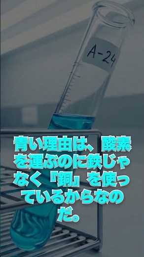【衝撃】カブトガニの血が「青い」理由が人類の救世主すぎた… #Shorts #雑学 #豆知識 #生物 #ずんだもん