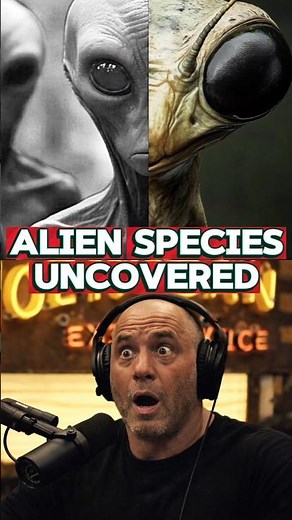 Joe Rogan & Dan Farah Break Down Different Alien Species