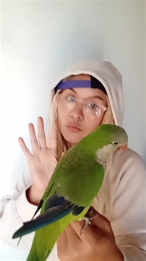 Usted no va #shorthumor #humorcomedia #feedshorts