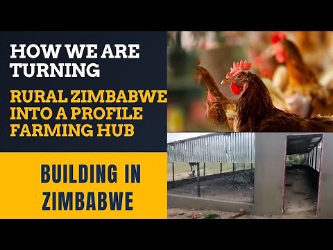 How We’re Turning Rural 🇿🇼 Into a Profitable Farming Hub | Building In Zimbabwe | Rural Farming