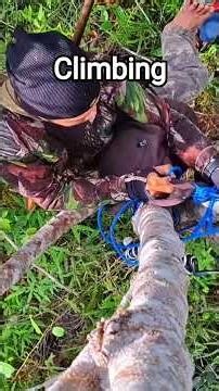 climbing trees in the jungle of Borneo #hunting #deersound #sambardeer