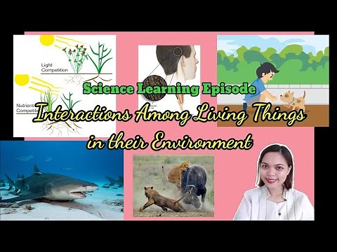 Interactions Among Living Things in their Environment| Grade 4 Science| Quarter 2, Week 7