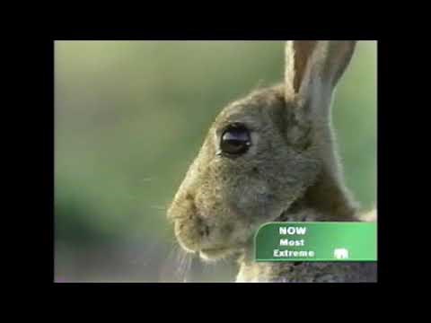 The Most Extreme - Jumpers