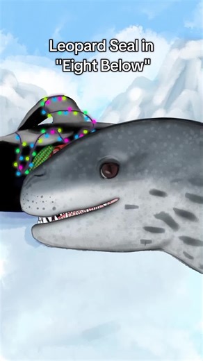 🦭 It was a terrifying scene, but ironic, since Orcas are Leopard Seal`s enemies, but here we had one Lep living INSIDE an Orca! #leopardseal #seal #eightbelow