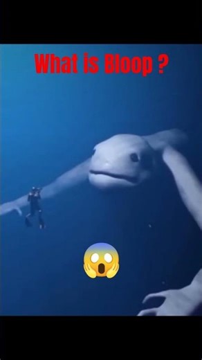 🤯Mystery of Bloop😱 | HarshTechz #facts #bloops #viral