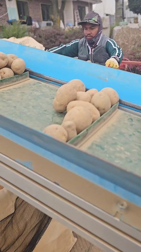 Efficient Potato Washing Process in a Rural Setting
