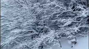 17K views · 460 reactions | Frozen? No, il Parco del Corno alle Scale come appare oggi 10 dicembre. Ghiacciata la croce sulla cima | Ètv | Facebook