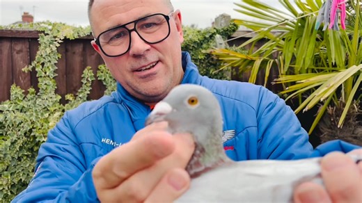 5.3K views · 232 reactions | Simply the best  Direct will be...