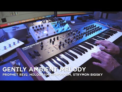 Dreamy Soundscapes: Prophet Rev2 Meets Hologram Microcosm