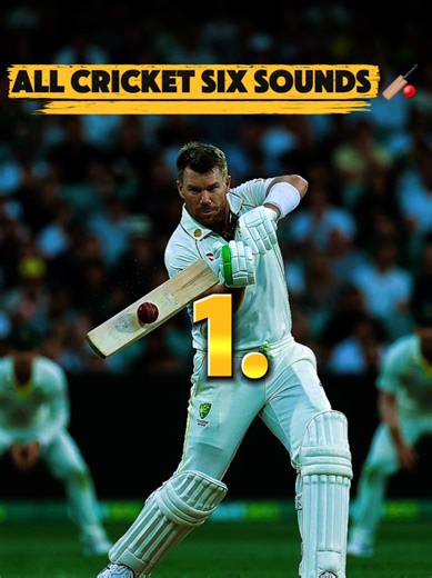 Cricket Sound Effects🔊🏏 #cricketsounds #soundeffects #fyp #audio #creatorsearchinsights