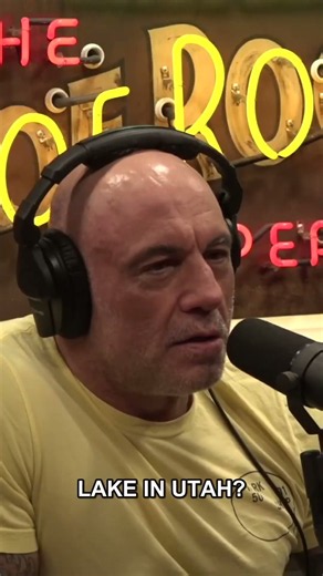 Joe Rogan Experience #2558 - Tyler Engle