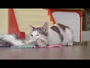 SmartyKat® Chitter Critter™ electronic cat toy