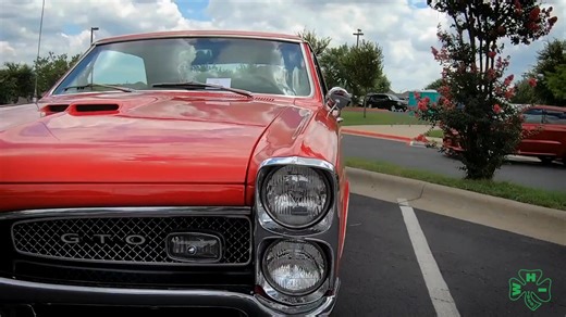  POWER MEETS PRECISION  Meet the Toro Walk Mower with Personal Pace® & Vortex Technology — where smart design meets serious performance. ✅ Personal Pace® automatically matches your walking speed ✅ Vortex Technology supercharges airflow for a cleaner, more powerful cut ✅ Built tough to handle Aussie lawns with ease Mow smarter, not harder.  Come check it out in-store at Irelands Machinery today! | Ireland's Machinery Pty Ltd | Facebook