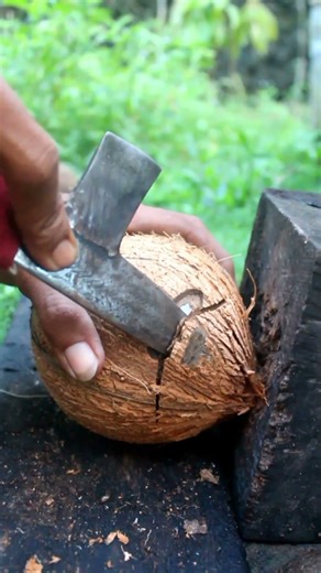 How cool it is to open a coconut