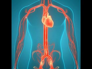 Above & Below Diaphragm Catheterization | Aortogram with runoff| 1st 2nd 3rd Order | Vascular Family