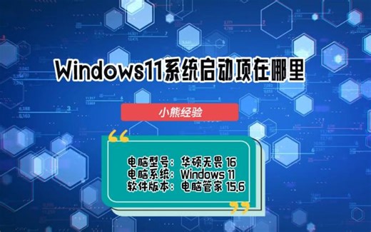 Windows11系统启动项在哪里
