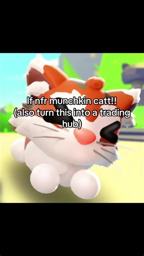 munchkin cat #munchkincat #adoptme #tradinghub #fyp #viral | Munchkin Cat